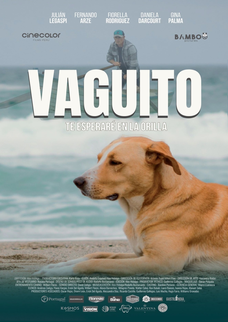 Poster de la película Vaguito